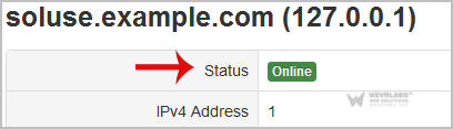 solusvm-status-detail.gif
